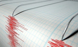 У берегов Королевства Тонга произошло землетрясение магнитудой 75