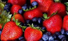 Продажа ягод становится выгодным агробизнесом в Молдове 
