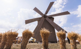 Ветряная мельница в гагаузском селе Гайдар остается неотремонтированной