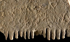 Надпись на найденном древнем гребне призывает расчесывать волосы и бороды чтобы избавиться от вшей