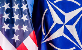 НАТО и США приступили к изучению сообщений об инциденте в Польше