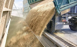 Președintele Ucrainei a anunțat despre prelungirea acordului cerealier cu 120 de zile