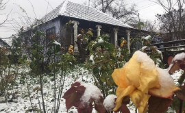 A nins în nordul țării Imagini de poveste surprinse de internauți la Florești Bălți și Butuceni