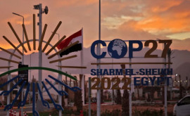Историческое соглашение для бедных стран на климатическом саммите COP27