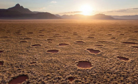 Misterul cercurilor de zîne din deșertul Namib fenomen unic în lumea fost dezlegat 