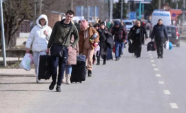 Сколько граждан Украины трудоустроились в Республике Молдова 