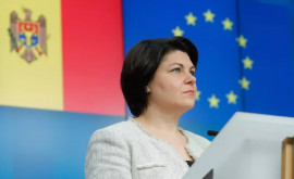 De ce secretarul general al Guvernului Dumitru Udrea șia dat demisia Explicațiile primministrului
