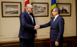Гросу выразил заинтересованность в развитии сотрудничества между Молдовой и Исландией