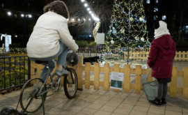 Un brad de Crăciun din Budapesta e alimentat cu energie de locuitori