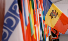 Нику Попеску участвует в 29м ежегодном заседании Совета министров ОБСЕ 