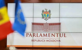 Сколько законодательных инициатив одобрил парламент в ноябре