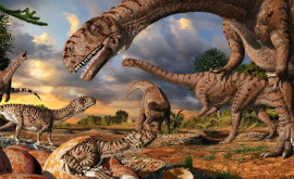 Dinozaurii se aflau în floarea existenţei lor la momentul la care a lovit asteroidul care lea provocat extincţia studiu
