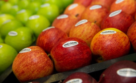 Asociația horticultorilor din Rusia a cerut limitarea importului de mere din Moldova