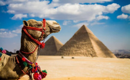 Некоторые категории молдаван смогут ездить в Египет без виз