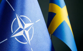 Suedia ar putea fi blocată de Turcia să adere la NATO