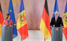 О чем говорили президенты Молдовы и Германии 