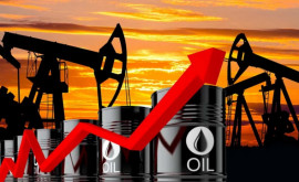 Цены на нефть выросли до трехнедельного максимума