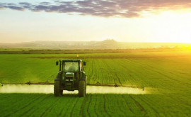 Какие поправки внесут в Закон о крестьянских хозяйствах в 2023 году