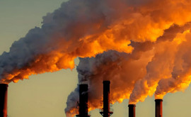 Denis Roșca Dacă dorim aer curat trebuie să împădurim să reciclăm și să obținem independența energetică