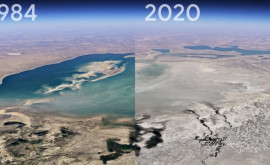 Google Earth arată cum sa schimbat planeta Pămînt în ultimii 37 de ani