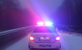Ninge can poveste Cum se circulă pe drumurile din țară