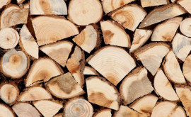 Гаврилица о контракте на поставку дров из Румынии Мы на финишной прямой