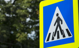Водители не уступающие дорогу пешеходам могут лишиться водительских прав