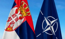 Сербия не намерена присоединяться к НАТО 