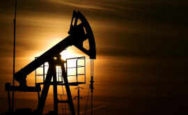 Нефть дорожает на фоне прогноза ОПЕК