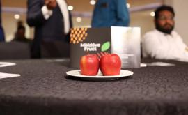 Primul container cu mere moldovenești din recolta anului 2022 a ajuns în India