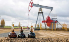 Prețurile mondiale ale petrolului sînt în scădere