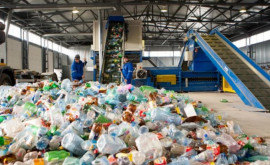 Sute de tone de deşeuri vor fi sortate şi reciclate în Chişinău