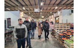 Ассоциации Moldova Fruct перенимает опыт у польских производителей