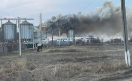 Natalia Gavriliţa a cerut investigaţii operative asupra incendiilor de la Portul Giurgiuleşti