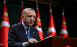 Эрдоган обсудит вступление Швеции в НАТО с кабмином Турции