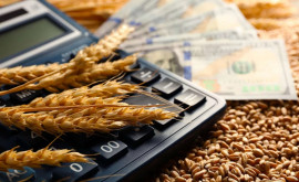 Regulamentul privind rambursarea TVA pentru producătorii agricoli publicat în Monitorul Oficial
