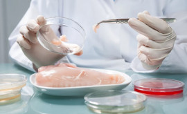 Агентство по безопасности пищевых продуктов объявило об отзыве мяса индейки