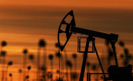 Prețurile mondiale ale petrolului sînt în scădere