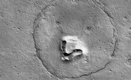 NASA обнаружило на поверхности Марса морду медведя