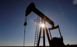 Prețurile mondiale ale petrolului au continuat să scadă