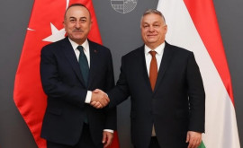 Венгрия и Турция призвали к мирному урегулированию на Украине