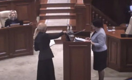 Накал страстей в парламенте Таубер принесла Наталье Гаврилице наручники