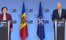 Gavrilița și Geoană au discutat despre cooperarea NATO R Moldova