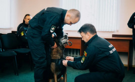 Собаку Пограничной полиции наградили Крестом За преданность