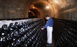 Французы станут пить меньше вина