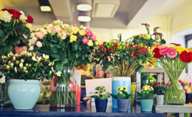 Fiscul cu ochii pe comercianții de flori pe 14 februarie