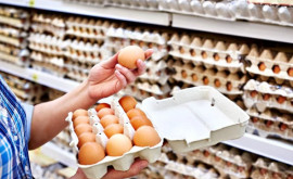 Alertă Un lot de ouă contaminate cu salmonela retras din magazine