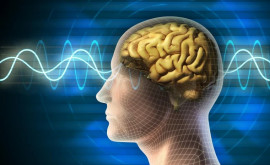 Curiozități despre creier Ce poți face ca să îmbunătățești memoria 