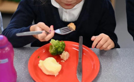 Правительство увеличивает сумму выделяемую на ежедневный обед учащихся