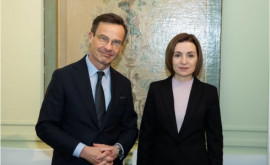 Президент Молдовы и премьер Швеции обсудили двустороннее сотрудничество